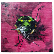 Boba Beetle - acrylic painting on wood