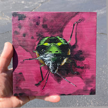 Boba Beetle - acrylic painting on wood