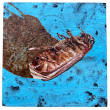 Bugged - acrylic painting on wood
