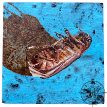 Bugged - acrylic painting on wood
