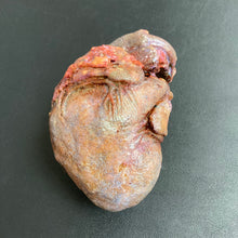 H - Be Mine-Human Heart