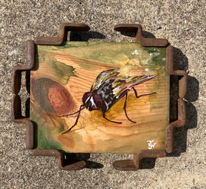 The Fly and the Fume - original artwork - acrylic painting on wood