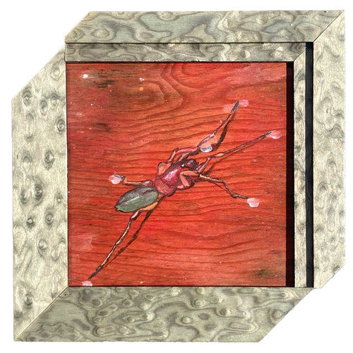 Red Spider - acrylic painting on wood