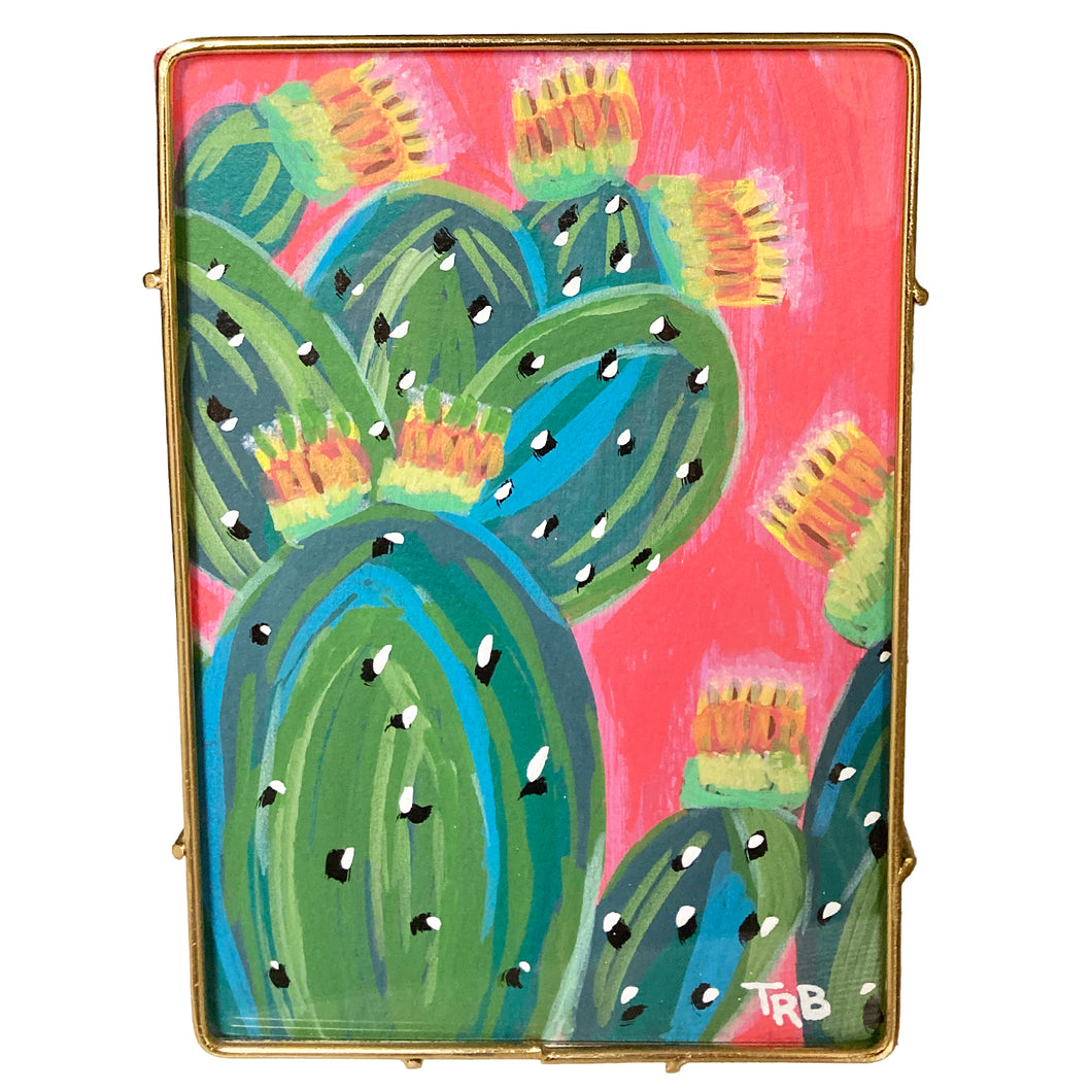 TB - Cacti