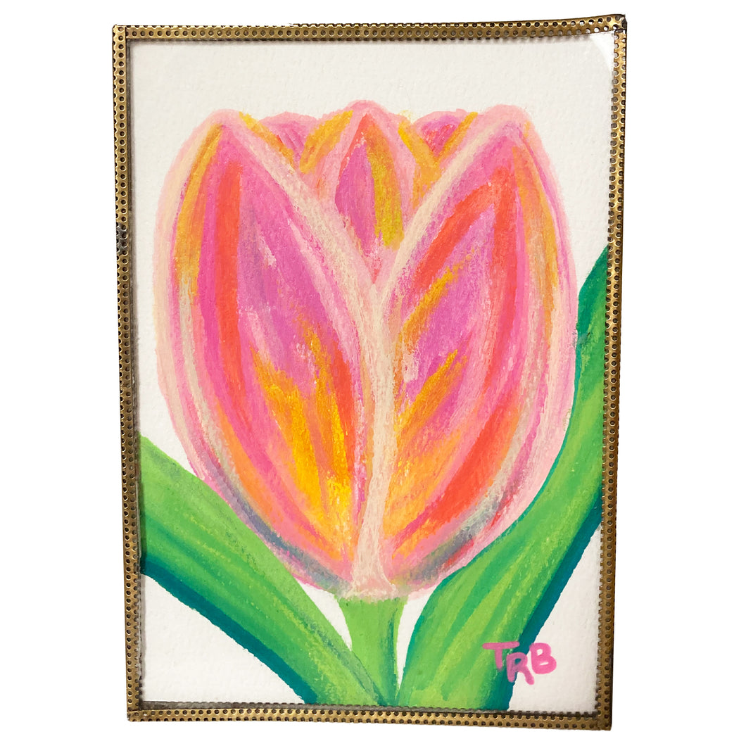 TB - Tulip